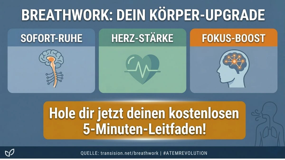 Infografik: Der 5-Minuten Breathwork Leitfaden für Anfänger mit Übungen zur Stressreduktion und Entspannung – transision.net