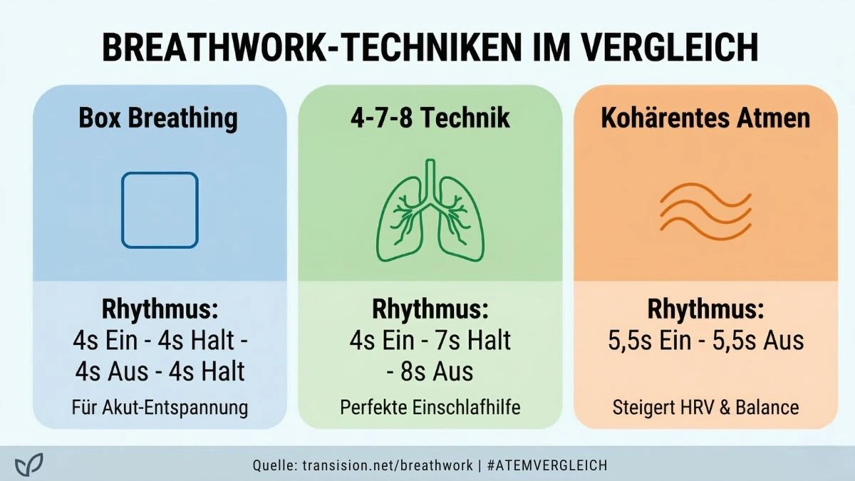 Infografik zur physiologischen Wirkung von Breathwork: Vagusnerv-Stimulation, Herzratenvariabilität (HRV) und Neuroplastizität